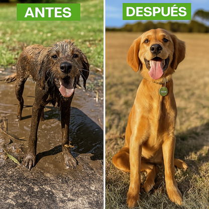 Accesorio para lavar perros + Champú GRATIS